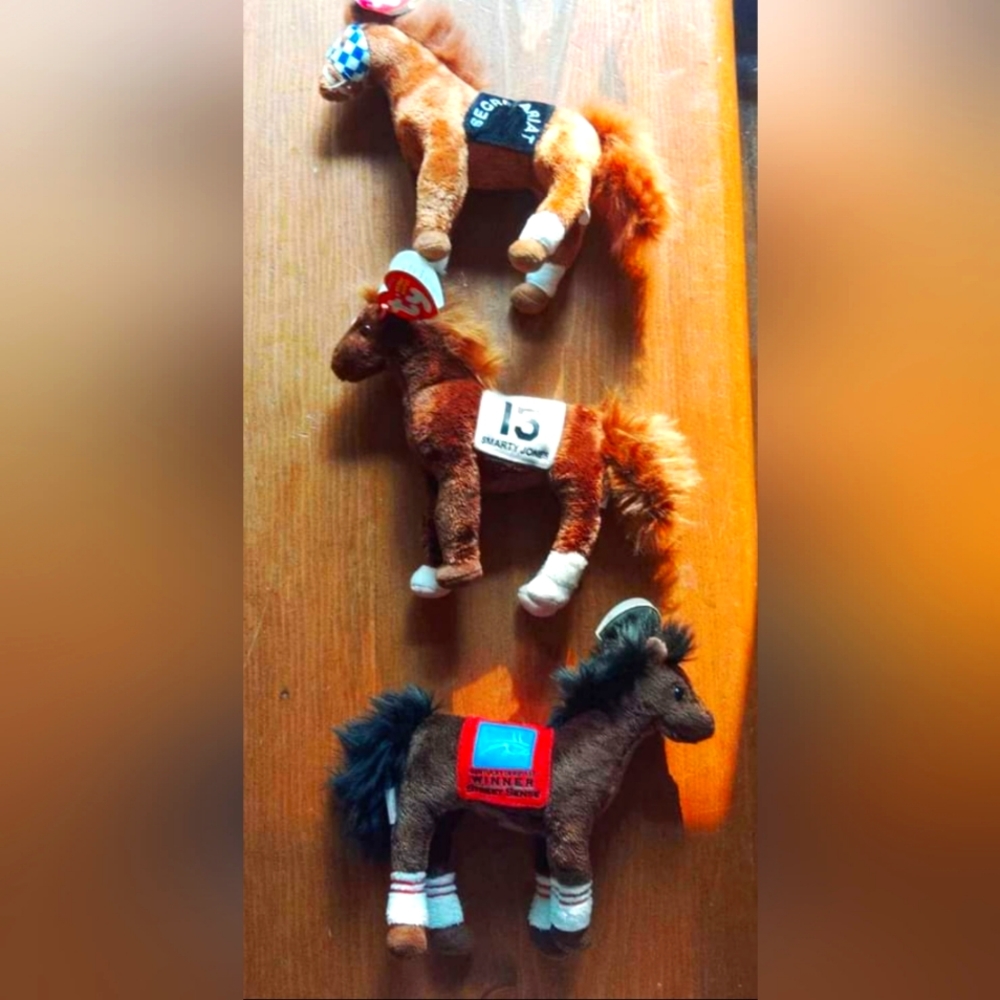 Ty Race Horses